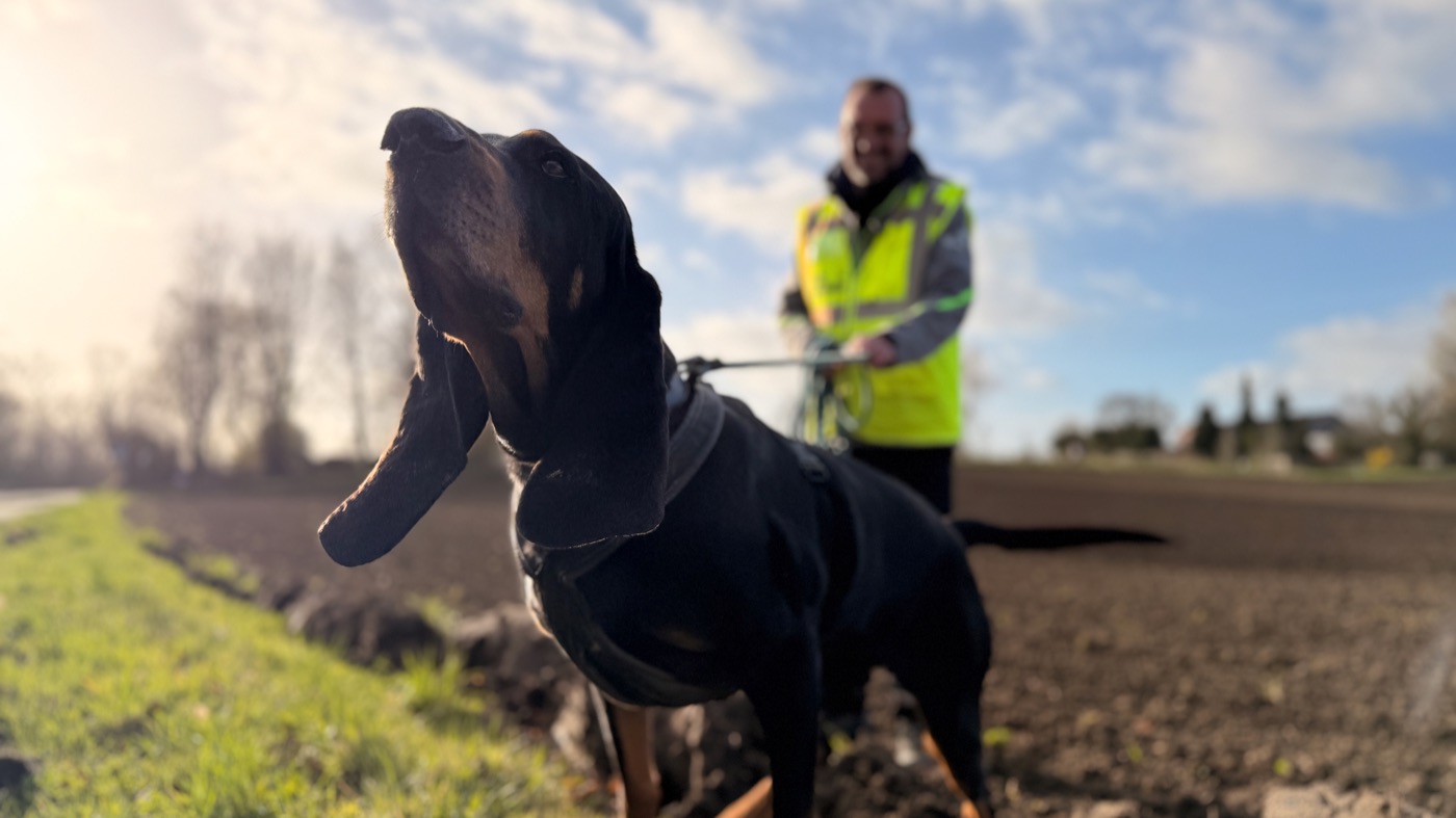 New film project about animal detectives
